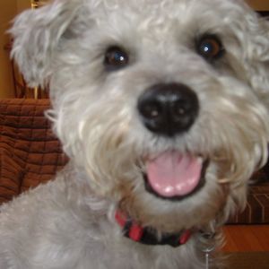 Meet your Posher, Patty